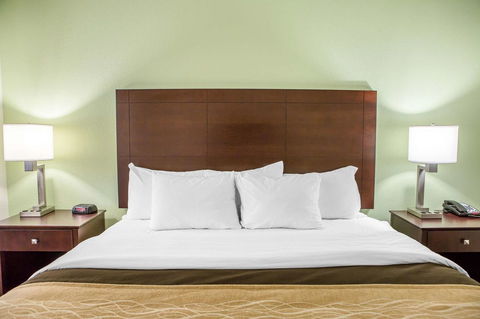 Comfort Inn Lexington South - Bet 4u 19