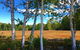 Center Lovell Inn - thumb 10