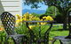 Center Lovell Inn - thumb 18