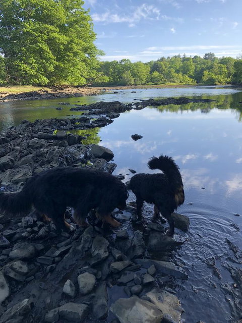 Riverhouse - Click Find 23