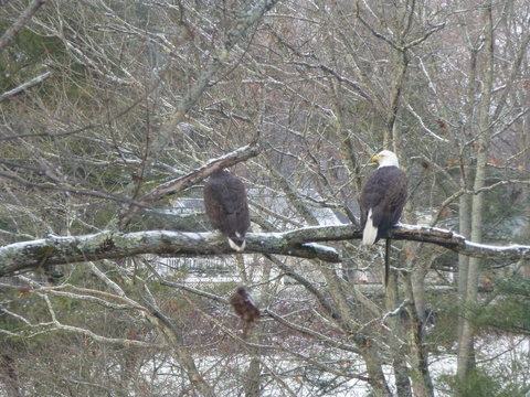 Riverhouse - Click Find 28