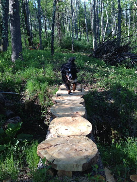 Riverhouse - Click Find 26