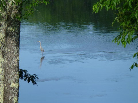 Riverhouse - Click Find 27