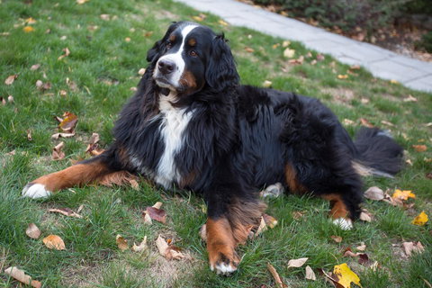 Riverhouse - Click Find 25