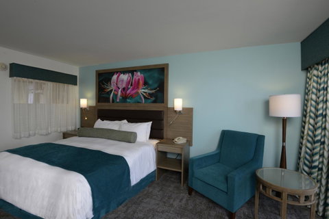 Rod 'N' Reel Resort - Click Find 21