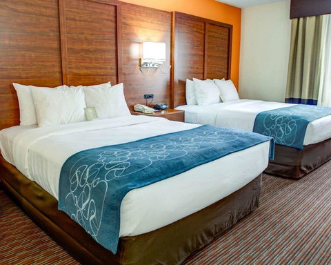 Comfort Suites Stevensville â€“ St. Joseph - Bet 4u 10
