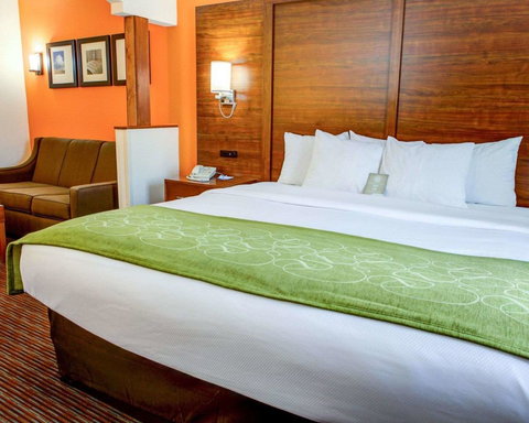 Comfort Suites Stevensville â€“ St. Joseph - Bet 4u 29