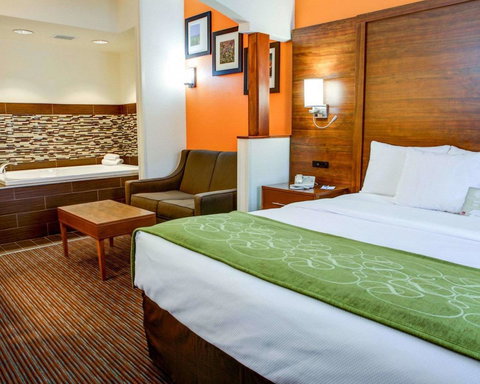 Comfort Suites Stevensville â€“ St. Joseph - Bet 4u 15
