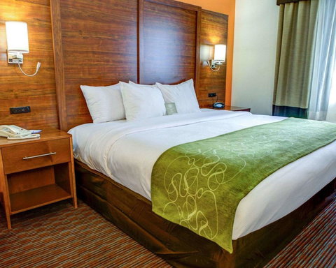 Comfort Suites Stevensville â€“ St. Joseph - Bet 4u 19