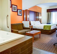 Comfort Suites Stevensville St. Joseph