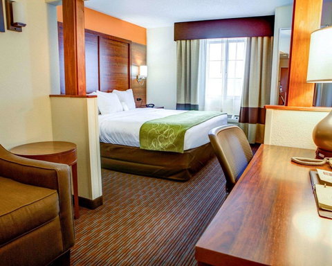 Comfort Suites Stevensville â€“ St. Joseph - Bet 4u 18