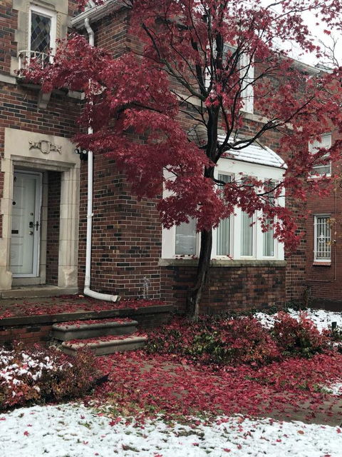 The Parkside / University District/15m To Downtown - Click Find 26