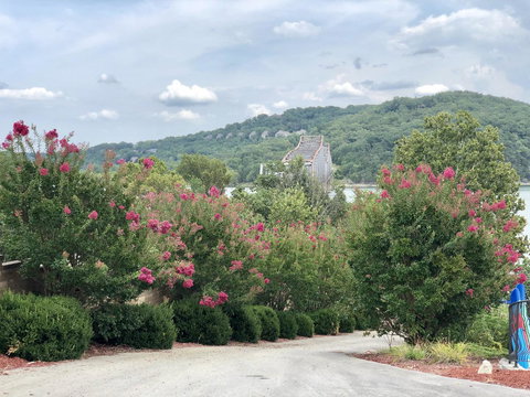 D'Monaco Resort - Bet 4u 1