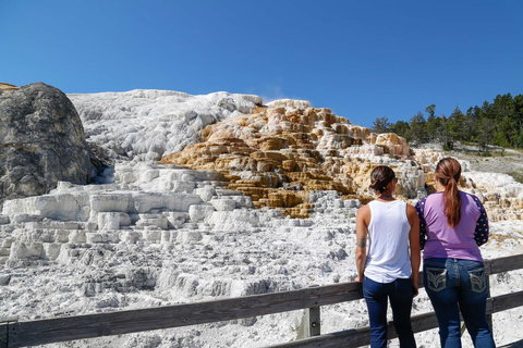 Best Western Plus By Mammoth Hot Springs - Bet 4u 44