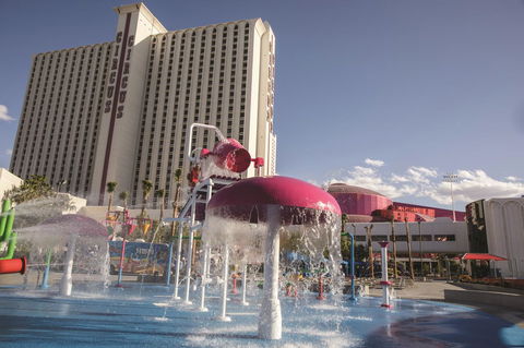 Circus Circus Hotel, Casino & Theme Park - Lavinia 19