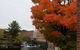Common Man Inn & Restaurant Claremont - thumb 32