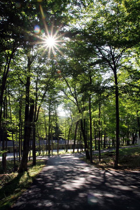 Storybook Inn & Suites - Bet 4u 14