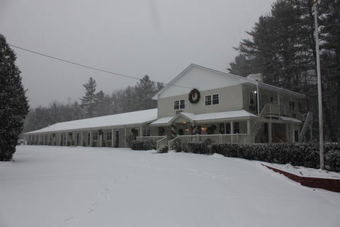 Golden Apple Inn - Bet 4u 24