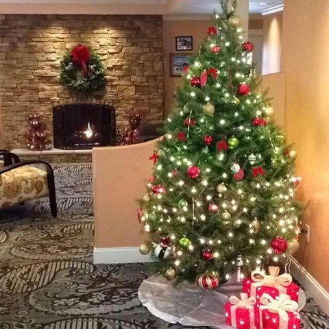 Golden Apple Inn - Bet 4u 35