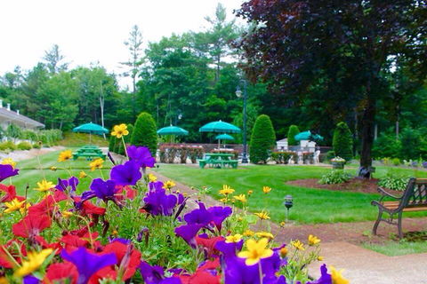 Golden Apple Inn - Bet 4u 28