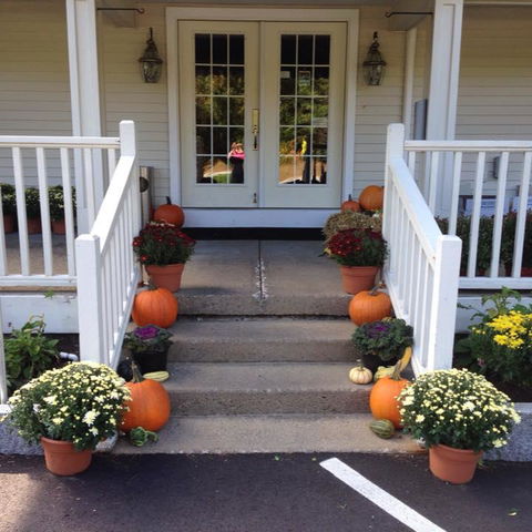 Golden Apple Inn - Bet 4u 33