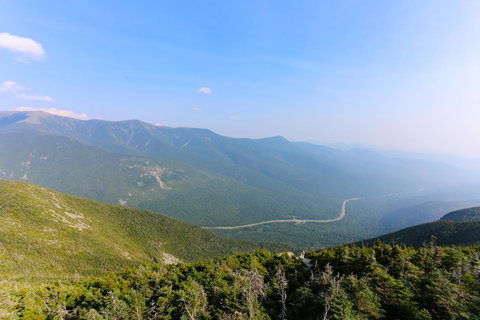 4 Lower Broad Bay - Bet 4u 22