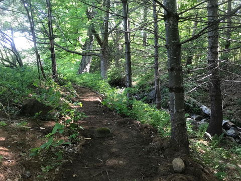 Barn Door Hostel - Bet 4u 11