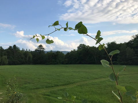 Barn Door Hostel - Bet 4u 7