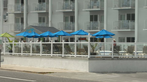 Marquis De Lafayette - Bet 4u 11