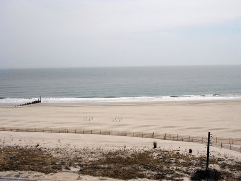 Marquis De Lafayette - Bet 4u 7