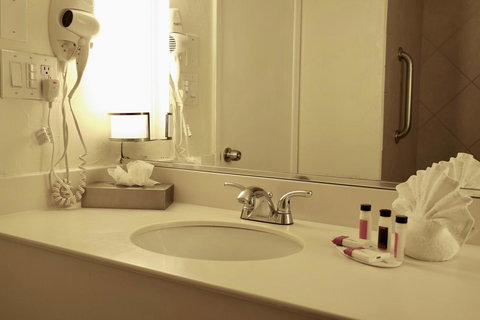 Ramada By Wyndham Las Cruces Hotel & Conference Center - Bet 4u 39