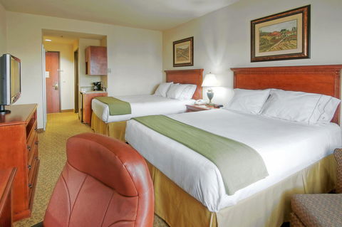 Holiday Inn Express Hotel & Suites Las Cruces - Bet 4u 5