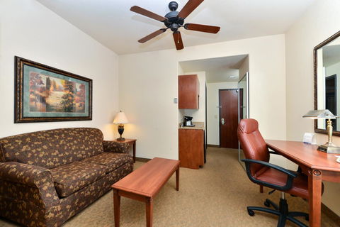 Holiday Inn Express Hotel & Suites Las Cruces - Bet 4u 6