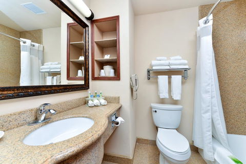 Holiday Inn Express Hotel & Suites Las Cruces - Bet 4u 38