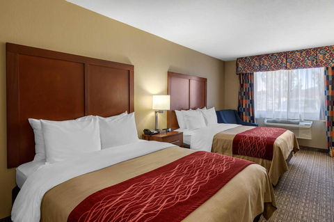 Comfort Inn Near Gila National Forest - Click Find 9