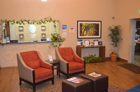 Comfort Inn Near Gila National Forest - Click Find 40