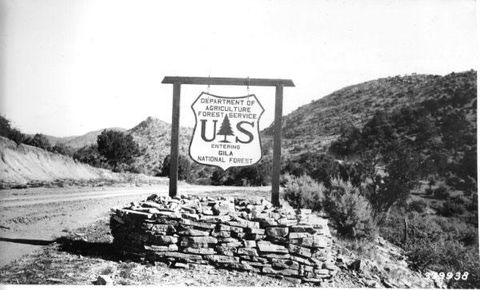 Comfort Inn Near Gila National Forest - Click Find 23