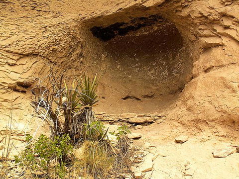 Comfort Inn Near Gila National Forest - Click Find 28