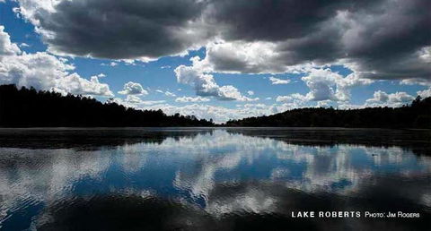 Comfort Inn Near Gila National Forest - Click Find 21