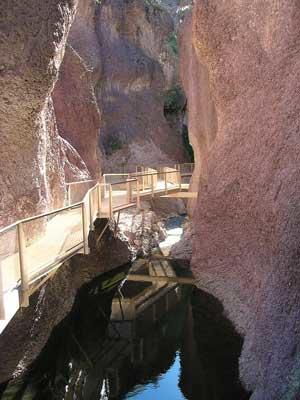 Comfort Inn Near Gila National Forest - Click Find 24