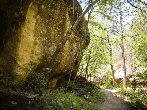 Comfort Inn Near Gila National Forest - Click Find 26