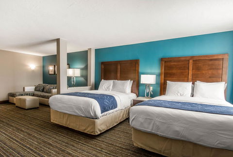 Comfort Suites Of Las Cruces I-25 North - Bet 4u 35