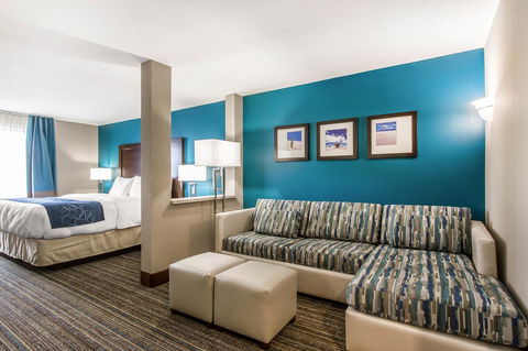 Comfort Suites Of Las Cruces I-25 North - Bet 4u 29