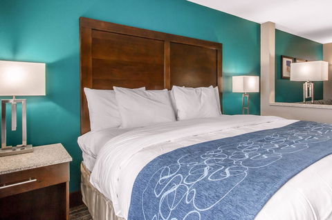 Comfort Suites Of Las Cruces I-25 North - Bet 4u 30