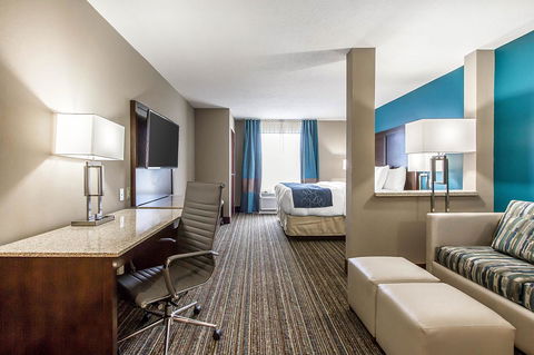 Comfort Suites Of Las Cruces I-25 North - Bet 4u 31