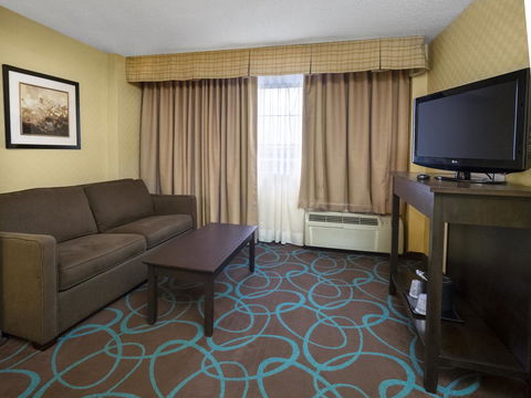Holiday Inn Niagara Falls-Scenic Downtown - Click Find 8