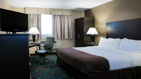 Holiday Inn Niagara Falls-Scenic Downtown - Click Find 21