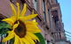 Historic Brownstone Apartment - thumb 10