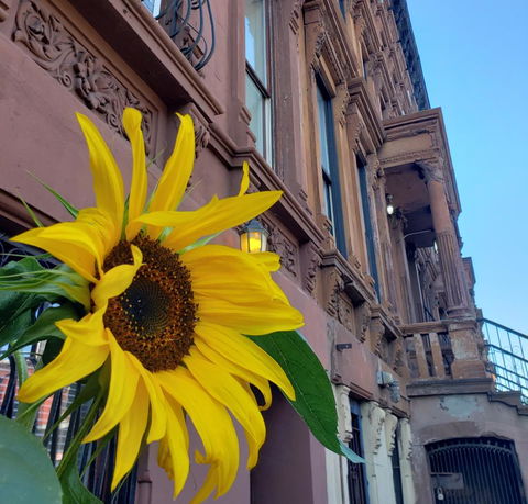 Historic Brownstone Apartment - Click Find 10
