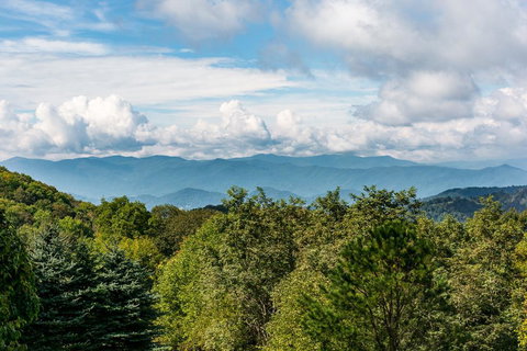 Glade Mountain Top Retreat Cabin - Click Find 7